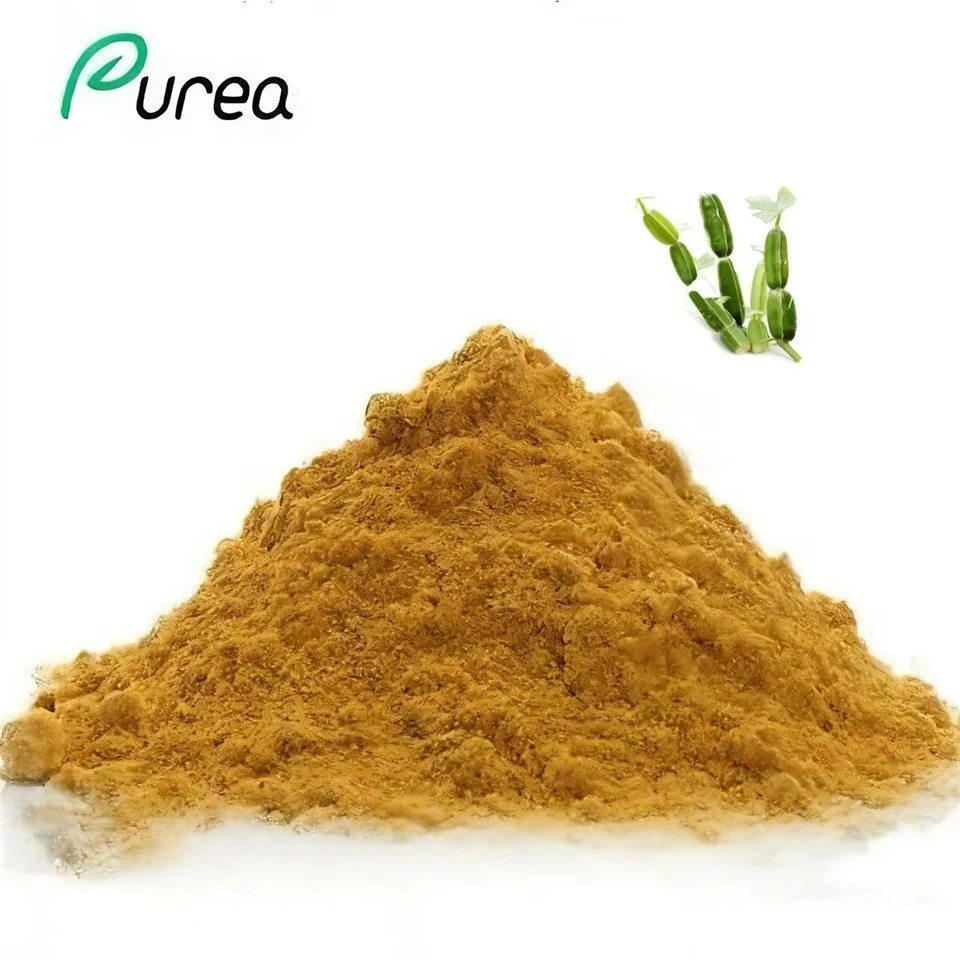 Powdwr Detholiad Cissus Quadrangularis