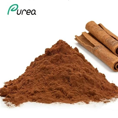 Detholiad Rhisgl Cinnamomum Zeylanicum Powdwr